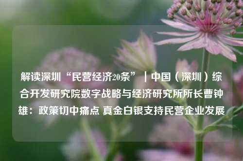 解读深圳“民营经济20条”｜中国（深圳）综合开发研究院数字战略与经济研究所所长曹钟雄：政策切中痛点 真金白银支持民营企业发展