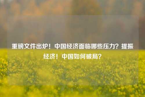 重磅文件出炉！中国经济面临哪些压力？提振经济！中国如何破局？