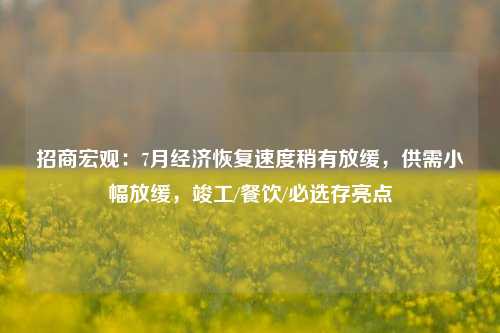 招商宏观：7月经济恢复速度稍有放缓，供需小幅放缓，竣工/餐饮/必选存亮点