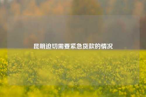昆明迫切需要紧急贷款的情况 个人借钱 第1张