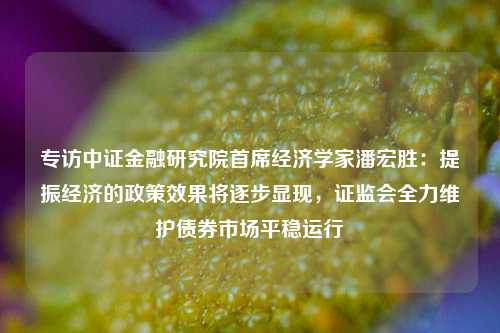 专访中证金融研究院首席经济学家潘宏胜：提振经济的政策效果将逐步显现，证监会全力维护债券市场平稳运行