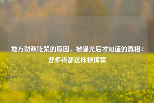 地方财政吃紧的原因，被曝光后才知道的真相：好多钱都这样被挥霍