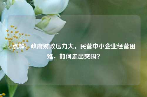 点解：政府财政压力大，民营中小企业经营困难，如何走出突围？