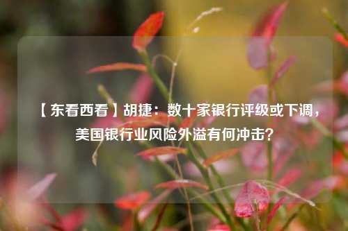 【东看西看】胡捷：数十家银行评级或下调，美国银行业风险外溢有何冲击？