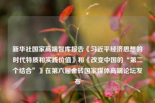 新华社国家高端智库报告《习近平经济思想的时代特质和实践价值》和《改变中国的“第二个结合”》在第六届金砖国家媒体高端论坛发布