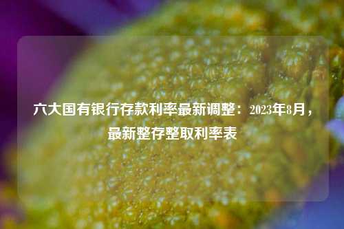 六大国有银行存款利率最新调整：2023年8月，最新整存整取利率表