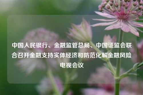 中国人民银行、金融监管总局、中国证监会联合召开金融支持实体经济和防范化解金融风险电视会议