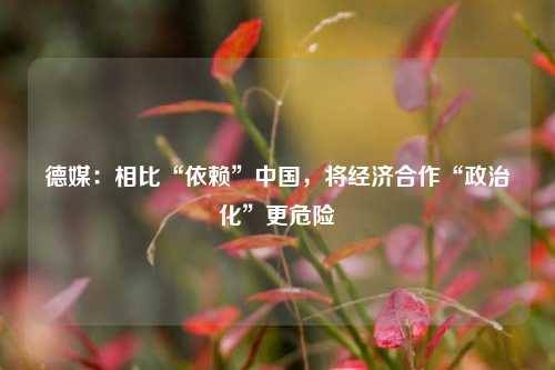 德媒：相比“依赖”中国，将经济合作“政治化”更危险