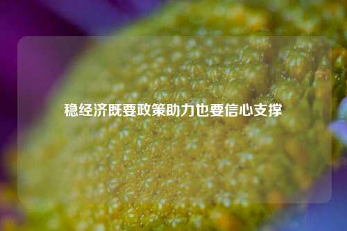 稳经济既要政策助力也要信心支撑