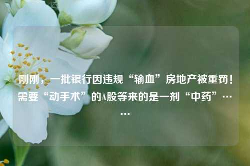 刚刚，一批银行因违规“输血”房地产被重罚！需要“动手术”的A股等来的是一剂“中药”……