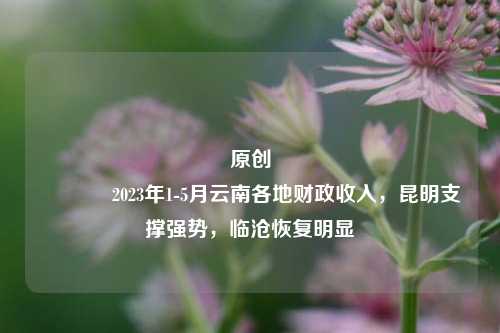 原创 2023年1-5月云南各地财政收入，昆明支撑强势，临沧恢复明显