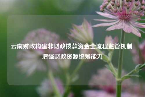 云南财政构建非财政拨款资金全流程监管机制 增强财政资源统筹能力