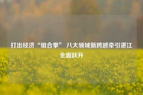 打出经济“组合拳” 八大领域新跨越牵引湛江全面跃升