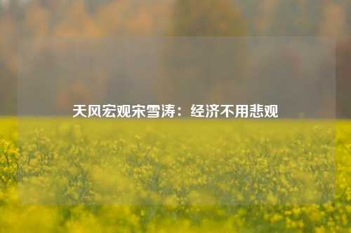 天风宏观宋雪涛：经济不用悲观