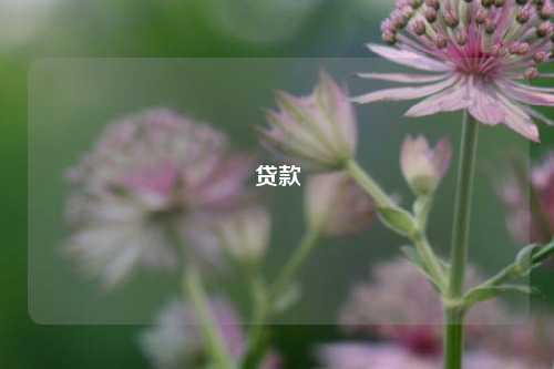 贷款