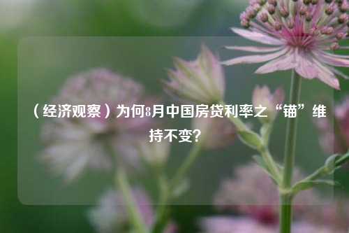 （经济观察）为何8月中国房贷利率之“锚”维持不变？