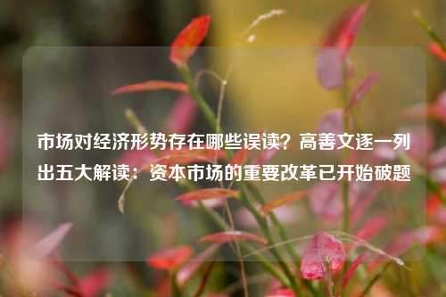 市场对经济形势存在哪些误读？高善文逐一列出五大解读：资本市场的重要改革已开始破题