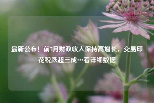 最新公布！前7月财政收入保持高增长，交易印花税跌超三成…看详细数据