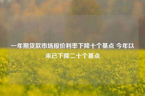 一年期贷款市场报价利率下降十个基点 今年以来已下降二十个基点