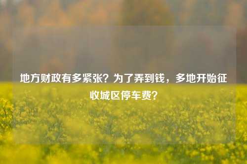 地方财政有多紧张？为了弄到钱，多地开始征收城区停车费？