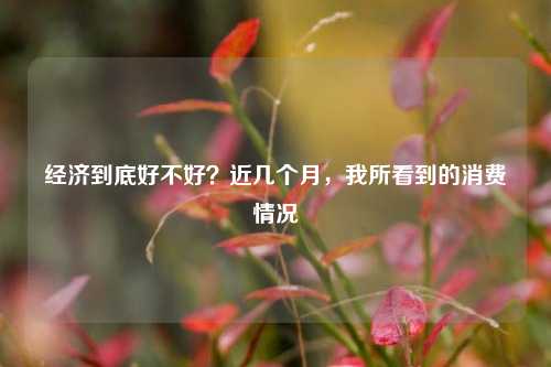 经济到底好不好？近几个月，我所看到的消费情况