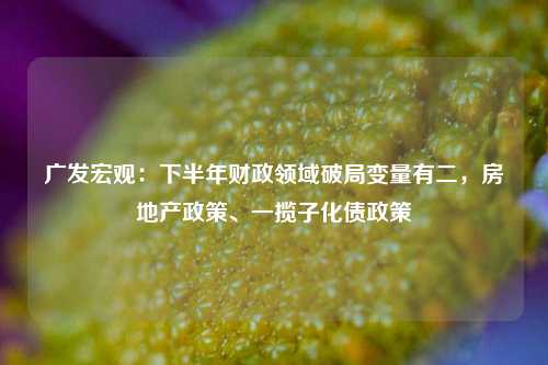 广发宏观：下半年财政领域破局变量有二，房地产政策、一揽子化债政策