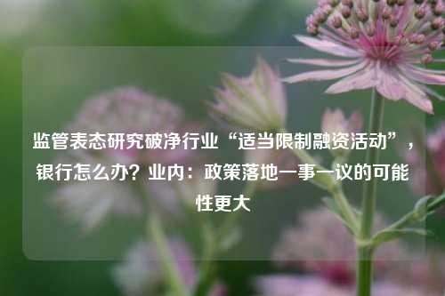 监管表态研究破净行业“适当限制融资活动”，银行怎么办？业内：政策落地一事一议的可能性更大