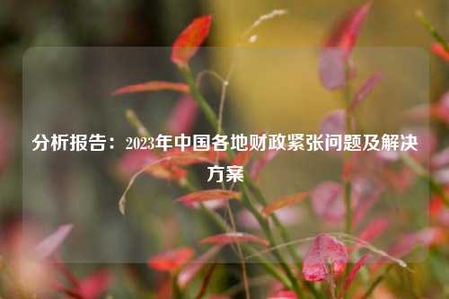分析报告：2023年中国各地财政紧张问题及解决方案