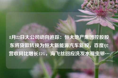 8月22日大公司动向追踪：恒大地产集团控股股东将贷款转换为恒大新能源汽车新股，百度Q2营收同比增长15%，海飞丝回应洗发水现虫卵…