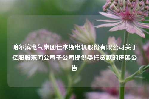 哈尔滨电气集团佳木斯电机股份有限公司关于控股股东向公司子公司提供委托贷款的进展公告