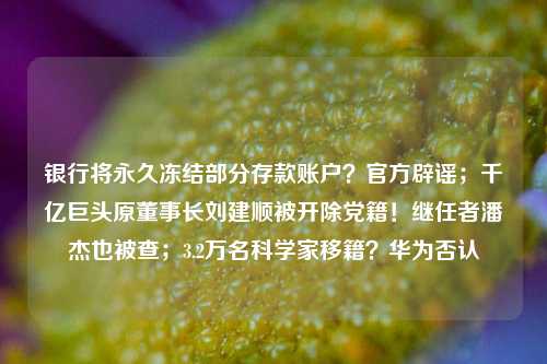 银行将永久冻结部分存款账户？官方辟谣；千亿巨头原董事长刘建顺被开除党籍！继任者潘杰也被查；3.2万名科学家移籍？华为否认
