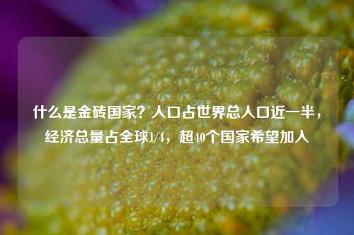 什么是金砖国家？人口占世界总人口近一半，经济总量占全球1/4，超40个国家希望加入