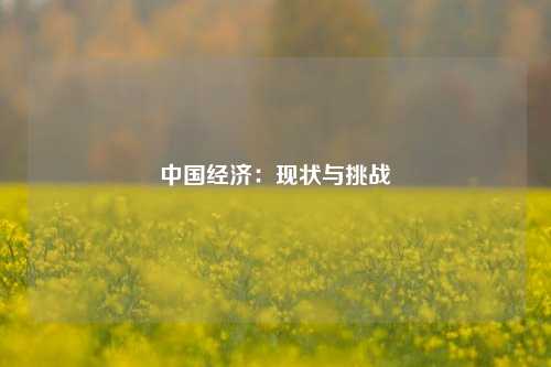 中国经济：现状与挑战