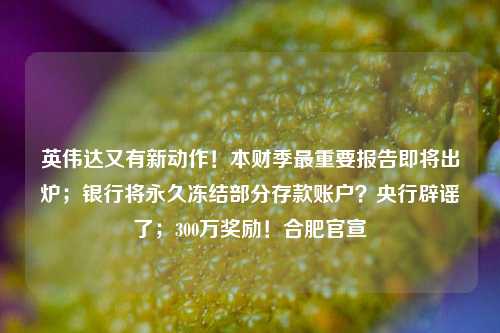 英伟达又有新动作！本财季最重要报告即将出炉；银行将永久冻结部分存款账户？央行辟谣了；300万奖励！合肥官宣
