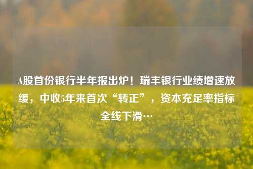 A股首份银行半年报出炉！瑞丰银行业绩增速放缓，中收5年来首次“转正”，资本充足率指标全线下滑…