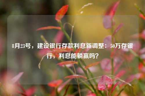8月23号，建设银行存款利息新调整：50万存银行，利息能躺赢吗？