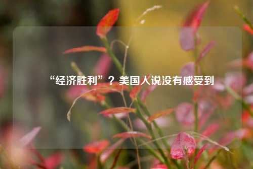 “经济胜利”？美国人说没有感受到