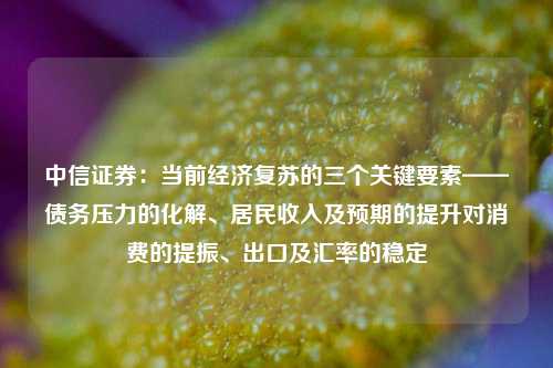 中信证券：当前经济复苏的三个关键要素——债务压力的化解、居民收入及预期的提升对消费的提振、出口及汇率的稳定