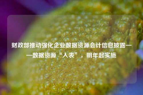 财政部推动强化企业数据资源会计信息披露——数据资源“入表”，明年起实施