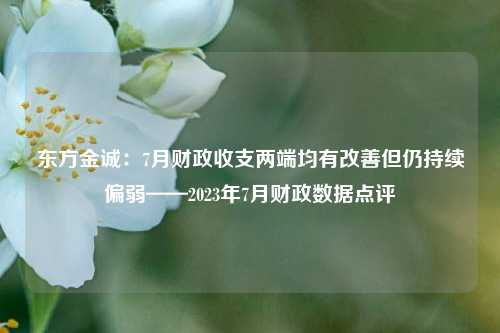 东方金诚：7月财政收支两端均有改善但仍持续偏弱——2023年7月财政数据点评