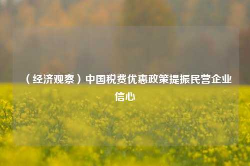 （经济观察）中国税费优惠政策提振民营企业信心