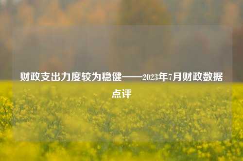 财政支出力度较为稳健——2023年7月财政数据点评