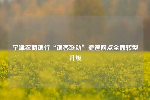 宁津农商银行“银客联动”提速网点全面转型升级