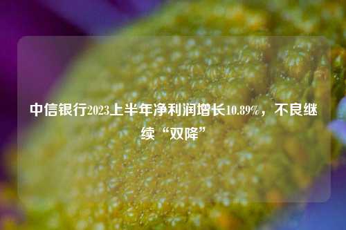 中信银行2023上半年净利润增长10.89%，不良继续“双降”