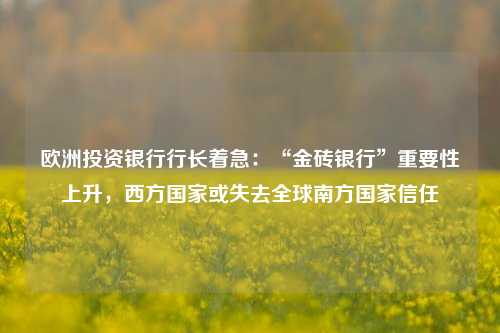 欧洲投资银行行长着急：“金砖银行”重要性上升，西方国家或失去全球南方国家信任