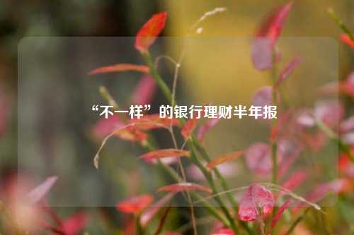 “不一样”的银行理财半年报