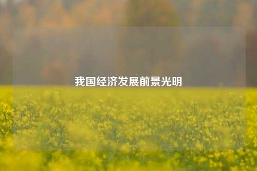 我国经济发展前景光明