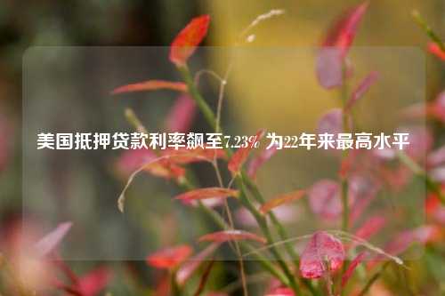美国抵押贷款利率飙至7.23% 为22年来最高水平