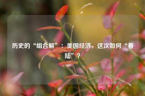 历史的“组合解”：美国经济，这次如何“着陆”？