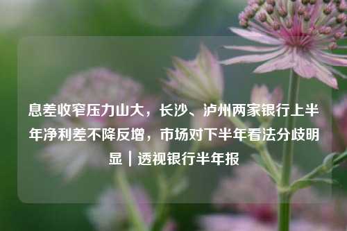 息差收窄压力山大，长沙、泸州两家银行上半年净利差不降反增，市场对下半年看法分歧明显｜透视银行半年报